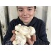 BUTTON MUSHROOMS  250 Gram Bag  Waikato Grown